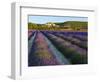 France, Provence, Banon, Lavender to Foreground-Shaun Egan-Framed Photographic Print