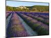 France, Provence, Banon, Lavender to Foreground-Shaun Egan-Mounted Photographic Print