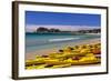 France, Provence, Bouches-Du-Rh™ne, Riviera, La Ciotat, Plage De Saint Jean, Cap De L'Aigle-Udo Siebig-Framed Photographic Print