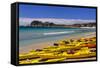 France, Provence, Bouches-Du-Rh™ne, Riviera, La Ciotat, Plage De Saint Jean, Cap De L'Aigle-Udo Siebig-Framed Stretched Canvas