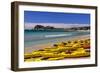 France, Provence, Bouches-Du-Rh™ne, Riviera, La Ciotat, Plage De Saint Jean, Cap De L'Aigle-Udo Siebig-Framed Photographic Print