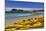 France, Provence, Bouches-Du-Rh™ne, Riviera, La Ciotat, Plage De Saint Jean, Cap De L'Aigle-Udo Siebig-Mounted Photographic Print