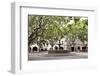 France Provence Collection - Place aux herbes d'Uzès-Philippe Hugonnard-Framed Photographic Print