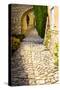 France, Provence. Joucas walkway and arch-George Theodore-Stretched Canvas