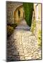 France, Provence. Joucas walkway and arch-George Theodore-Mounted Photographic Print