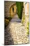 France, Provence. Joucas walkway and arch-George Theodore-Mounted Photographic Print