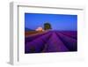 France, Provence. Lavender field in the Valensole Plateau.-Jaynes Gallery-Framed Photographic Print