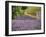 France, Provence. Lavender Fields Near a Home-Julie Eggers-Framed Photographic Print