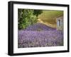 France, Provence. Lavender Fields Near a Home-Julie Eggers-Framed Photographic Print