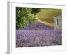 France, Provence. Lavender Fields Near a Home-Julie Eggers-Framed Photographic Print