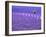 France, Provence, Lone Tree in Lavender Field-Terry Eggers-Framed Photographic Print