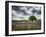 France, Provence, Lone Tree in Lavender Field-Terry Eggers-Framed Photographic Print