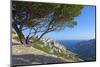 France, Provence, Marseille, Les CalenqŸs-Chris Seba-Mounted Photographic Print