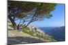 France, Provence, Marseille, Les CalenqŸs-Chris Seba-Mounted Photographic Print
