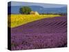 France, Provence, Old Farm House in Field of Lavender and Sunflowers-Terry Eggers-Stretched Canvas