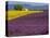 France, Provence, Old Farm House in Field of Lavender and Sunflowers-Terry Eggers-Stretched Canvas