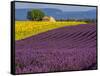 France, Provence, Old Farm House in Field of Lavender and Sunflowers-Terry Eggers-Framed Stretched Canvas