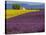 France, Provence, Old Farm House in Field of Lavender and Sunflowers-Terry Eggers-Stretched Canvas