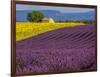 France, Provence, Old Farm House in Field of Lavender and Sunflowers-Terry Eggers-Framed Photographic Print