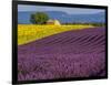 France, Provence, Old Farm House in Field of Lavender and Sunflowers-Terry Eggers-Framed Photographic Print