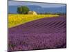 France, Provence, Old Farm House in Field of Lavender and Sunflowers-Terry Eggers-Mounted Photographic Print