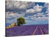 France, Provence, Old Farm House in Field of Lavender-Terry Eggers-Stretched Canvas