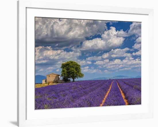 France, Provence, Old Farm House in Field of Lavender-Terry Eggers-Framed Photographic Print