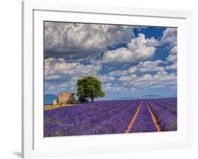 France, Provence, Old Farm House in Field of Lavender-Terry Eggers-Framed Photographic Print