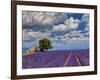 France, Provence, Old Farm House in Field of Lavender-Terry Eggers-Framed Photographic Print