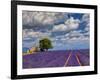 France, Provence, Old Farm House in Field of Lavender-Terry Eggers-Framed Photographic Print