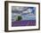 France, Provence, Old Farm House in Field of Lavender-Terry Eggers-Framed Photographic Print