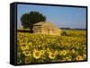 France, Provence, Old Farm House in Field of Sunflowers-Terry Eggers-Framed Stretched Canvas