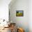 France, Provence, Old Farm House in Field of Sunflowers-Terry Eggers-Framed Stretched Canvas displayed on a wall