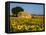 France, Provence, Old Farm House in Field of Sunflowers-Terry Eggers-Framed Stretched Canvas