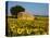 France, Provence, Old Farm House in Field of Sunflowers-Terry Eggers-Stretched Canvas