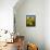 France, Provence, Old Farm House in Field of Sunflowers-Terry Eggers-Framed Stretched Canvas displayed on a wall