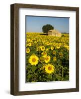 France, Provence, Old Farm House in Field of Sunflowers-Terry Eggers-Framed Photographic Print