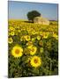 France, Provence, Old Farm House in Field of Sunflowers-Terry Eggers-Mounted Photographic Print