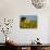 France, Provence, Old Farm House in Field of Sunflowers-Terry Eggers-Photographic Print displayed on a wall