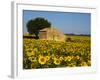 France, Provence, Old Farm House in Field of Sunflowers-Terry Eggers-Framed Photographic Print