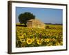 France, Provence, Old Farm House in Field of Sunflowers-Terry Eggers-Framed Photographic Print