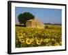 France, Provence, Old Farm House in Field of Sunflowers-Terry Eggers-Framed Photographic Print