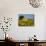 France, Provence, Old Farm House in Field of Sunflowers-Terry Eggers-Mounted Photographic Print displayed on a wall