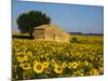 France, Provence, Old Farm House in Field of Sunflowers-Terry Eggers-Mounted Photographic Print