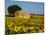 France, Provence, Old Farm House in Field of Sunflowers-Terry Eggers-Mounted Photographic Print