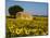 France, Provence, Old Farm House in Field of Sunflowers-Terry Eggers-Mounted Photographic Print