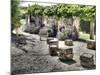 France, Provence. Outdoor Patio of the Saint-Hilaire Abbey-Julie Eggers-Mounted Photographic Print