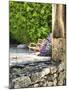 France, Provence. Outdoor Patio of the Saint-Hilaire Abbey-Julie Eggers-Mounted Photographic Print