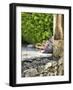 France, Provence. Outdoor Patio of the Saint-Hilaire Abbey-Julie Eggers-Framed Photographic Print