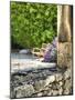 France, Provence. Outdoor Patio of the Saint-Hilaire Abbey-Julie Eggers-Mounted Photographic Print